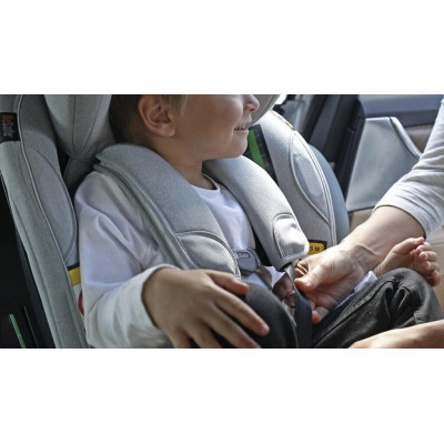 BeSafe Belt guard 2024