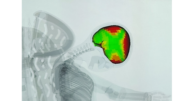 Trocha vědy, aneb jak fungují síly působící na tělo při nárazu?